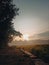 the view of the sunrise on the edge of the rice fields