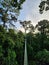 View of sunrise over canopy walkway in Danum Valley rain forest in lahad Datu