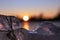 View on sunset lake with clear frozen ice close-up