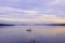 View of the sunset at the ocean with small boat in Vancouver Island, Canada