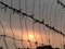 View of a sunset though the barbed wire fencing