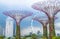 View of Supertree Grove in Gardens by the Bay with Singapore Flyer in the background. Singapore - November 07, 2017