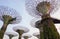 View of Supertrees at Marina Sand Gardens in Singapore