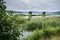 View of swampy lake among forests on cloudy summer day.