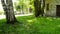 View from a swing, camera swings up and down, beautiful nature in a summer Park, HD Video