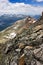 View of Swiss Alps in Summer