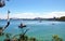 View on Sydney Harbor Bridge and Sydney Opera House from Sydney Harbor National Park