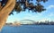 View of Sydney Opera House, Bridge & Moreton Bay Fig