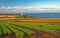 The view of Table Cape with off season tulip farm, Table Cape Lighthouse and the sea of Bass Strait in Tasmania, Australia.