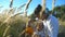 View through tall grass to happy family sitting at field and having fun together on a sunny day. Young father holding in