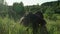 View through the tall grass to the silhouette of a seated man.