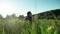 View through the tall grass to the silhouette of a seated man.