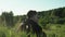 View through the tall grass to the silhouette of a seated man.