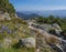 View from tatra mountains trail with rocks, boulders, blue bell flower and pine trees and coniferous forest hills, blue sky. Tatra