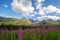 View of the Tatras mountains and colorful flowers in Gasienicowa valley