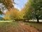 A view of Tatton Park in the Autumn sunshine