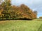 A view of Tatton Park in the Autumn sunshine