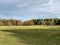 A view of Tatton Park in the Autumn sunshine