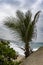 A view from Tayrona National Park, Santa Marta