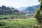 view of tea field near canal in Chengyang