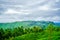 View on tea Plantation from Lipton Seat next to to Haputale, Sri Lanka