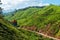 View of tea plantation valley in Munnar