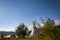 View of teepees on field amidst trees with blue sky in background on sunny day