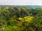 View of Tegalalang Rice Terrace, Bali