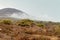 View of Telica volcano, Nicarag