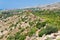 View on Temple on Concordia in Valley of Temples