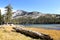 A view of Tenaya Lake in Yosemite national park