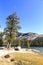 A view of Tenaya Lake in Yosemite national park