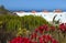 View of Tenerife, Canary Islands, Spain.