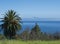 View on Tenerife island with Pico del Teide from lush green meadow with palm and pine trees, blue sky and sea background