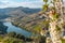 View of the terraced vineyards in the Douro Valley and river near the village of Pinhao, Portugal. Concept for travel in Portugal