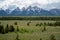 View from Teton Point turnout in Grand Teton National Park in Wyoming, summer view