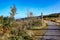 View from the Teufelsstein Steinbach-Ore Mountains