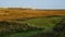 View of Texel island at sunset