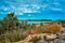 View from Thiessow across the baltic sea to Klein Zicker with flowers and boats on the beach