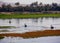 View of three small fishing boats on the river Nile, Egypt