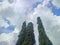 view of three towering green trees against clouds