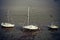 View of three white boats stranded at the low tide of river Thames banks in the evening