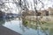 view of the Tiber in the branches of the trees. The river is crossed by one of the bridges of Rome