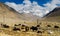 View from the Tibetan plateau on Mount Everest