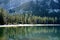 View from Tioga Road