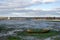 a view of tipner lake in Portsmouth, UK with an old wooden boat in the foreground at low tide also showing Brent Geese on the