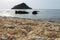 View of Tirrenic sea and little island called Isolotto with stony beach on the foreground.