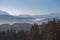 View to the Alps in foothills forest