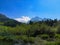 View to Alps near Zelenci lake