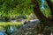 View to the artificial lake with the wooden bridge at the National Garden of Athens - Greece. It`s a public park located in the c